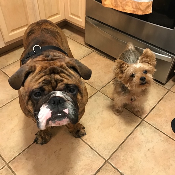 Meet Your Posher, Melissa - Picture 6 of 9